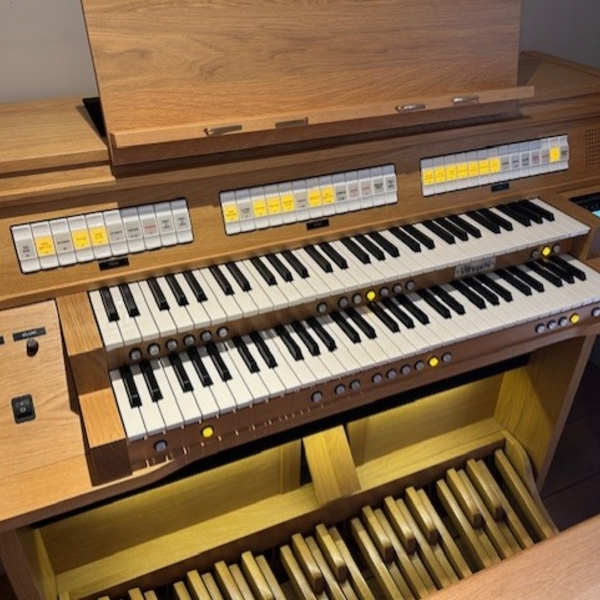 Wyvern Sonata 232